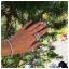 ring21